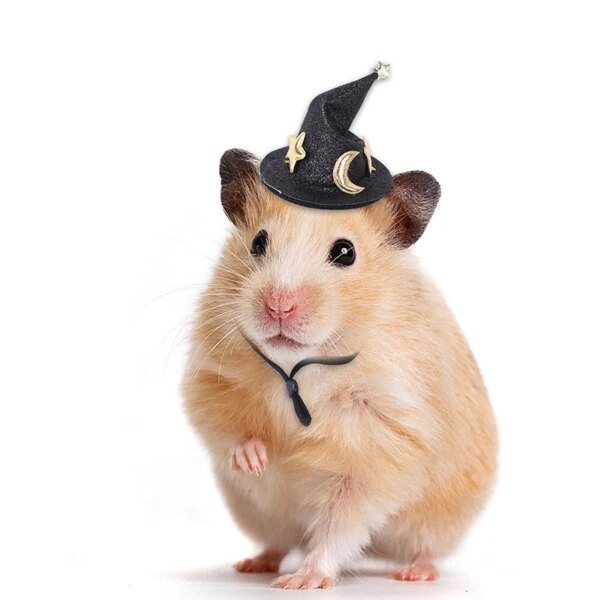 Chapeau Hamster Potter – Image 5